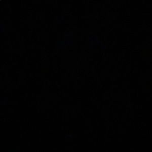 Meet your Posher, Bailee